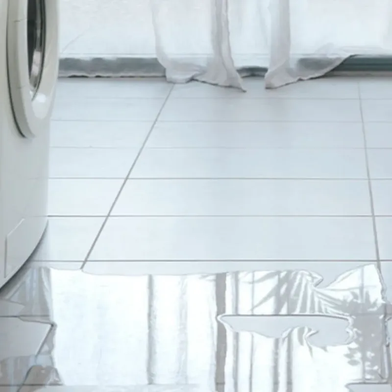 Appliance Leak Cleanup in Moultrie County, IL