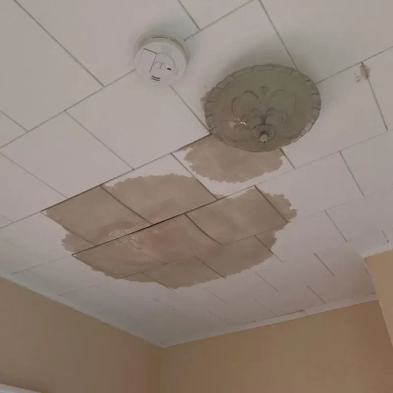 Ceiling Water Damage Repair in Moultrie County, IL