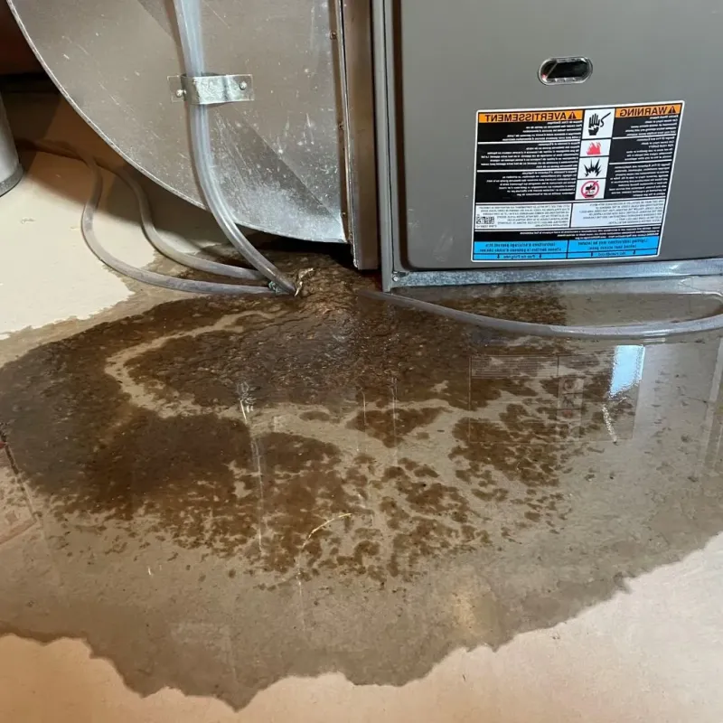 Pipe Burst and Leak Restoration in Moultrie County, IL