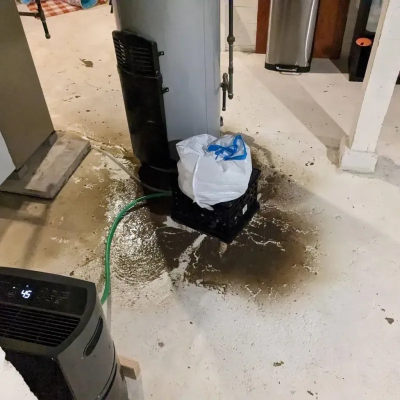 Sewage Backup Cleanup Service in Moultrie County, IL